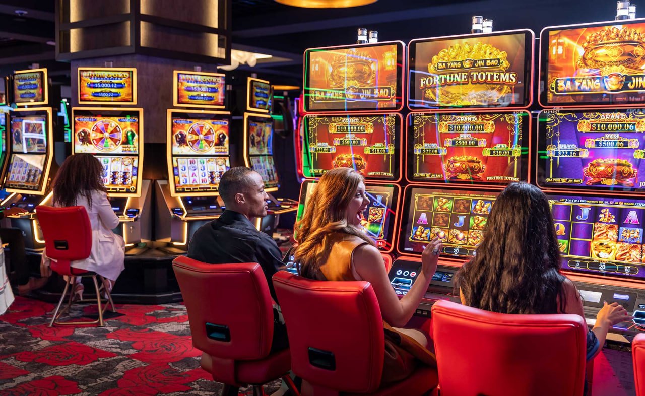 3111bet